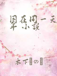 困在同一天一千年 小说