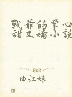 战爷的掌心宠又甜又娇小说免费看