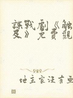 谍战剧《触不可及》免费观看