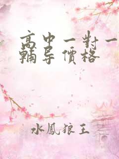 高中一对一地理辅导价格