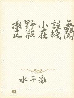 撒野小说无删减正版在线阅读