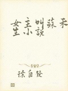 女主叫苏禾的重生小说