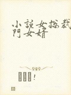 小说女总裁的上门女婿