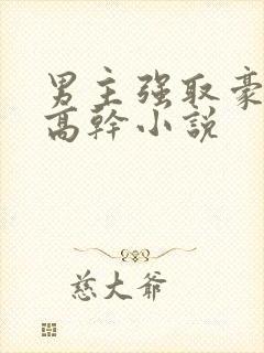 男主强取豪夺的高干小说