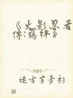 《火影忍者疾风传:羁绊》