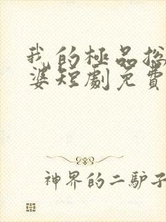 我的极品总裁老婆短剧免费完整版