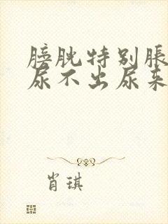 膀胱特别胀但是尿不出尿来怎么回事