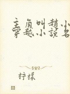 主角叫赵小驴的穿越小说名字