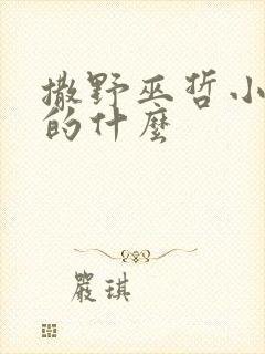 撒野巫哲小说讲的什么