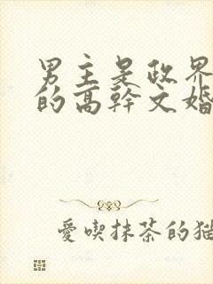 男主是政界大佬的高干文婚途