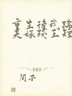 重生后我踹掉渣夫嫁残王短剧免费观看