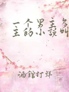 一个男主多个女主的小说叫什么