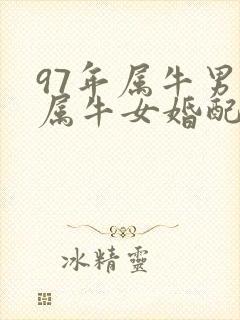 97年属牛男与属牛女婚配怎样