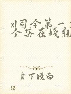 xl司令第一季全集在线观看完整版免费