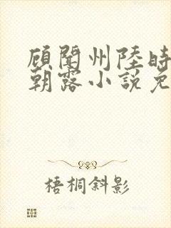 顾闻州陆时雨秦朝露小说免费全文