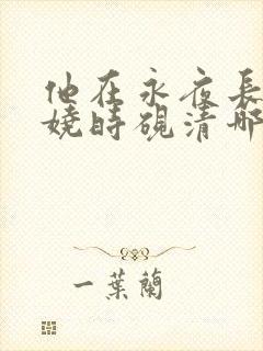 他在永夜长眠苏娆时砚清哪里更新最快