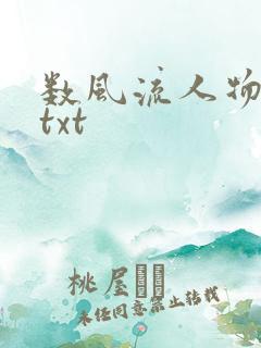 数风流人物小说txt
