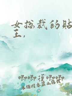 女总裁的贴身兵王,