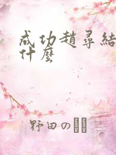 成功赵寻结局是什么