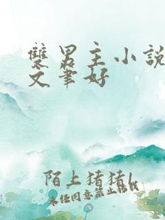 双男主小说推荐文笔好