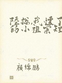 陆总,我怀了你的小祖宗短剧免费