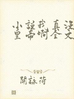 小说我真没想当皇帝啊全文阅读