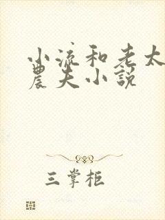 小流和老太69农夫小说