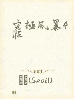 究极风暴4 正版