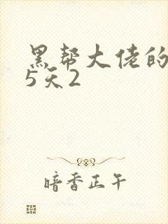 黑帮大佬的365天2