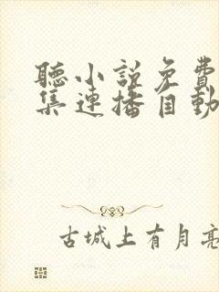 听小说免费听全集连播自动播放言情