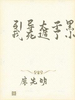 引导太子黑化后我死遁了小说