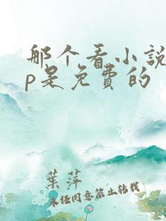 那个看小说app是免费的