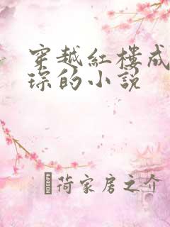 穿越红楼成为贾琮的小说