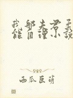 我那夫君柔弱不能自理小说