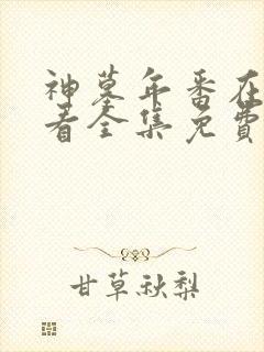 神墓年番在线观看全集免费观看动漫