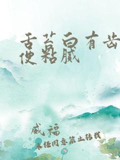 舌苔白有齿痕大便粘腻