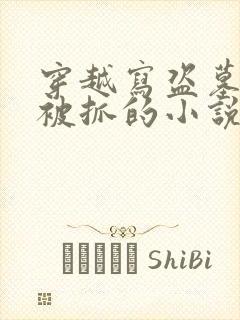 穿越写盗墓小说被抓的小说