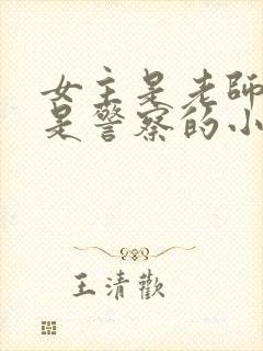 女主是老师男主是警察的小说