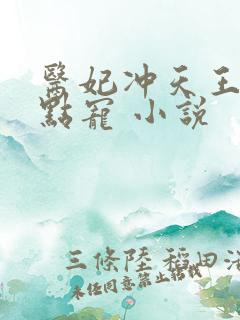 医妃冲天王爷轻点宠 小说