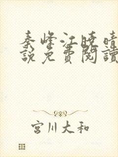 秦峰江晓晴的小说免费阅读最新