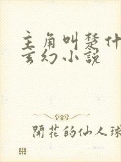 主角叫楚什么的玄幻小说