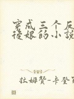 穿成三个反派的后娘的小说