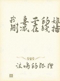 我妻子的姐姐无删减在线播放