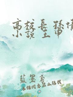 高校长 孙倩 小说 王申