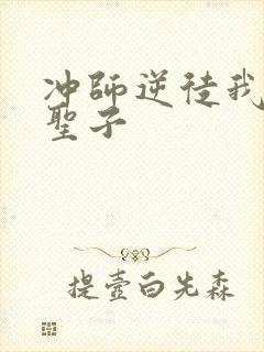 冲师逆徒我不是圣子