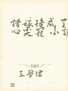 错嫁后成了总裁心尖宠 小说