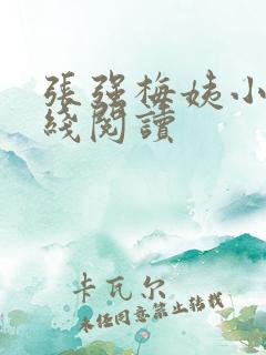 张强梅姨小说在线阅读