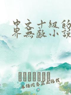 中文十级的我异界无敌小说下载txt