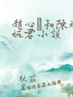 赵心睸和陈斌高婉君小说