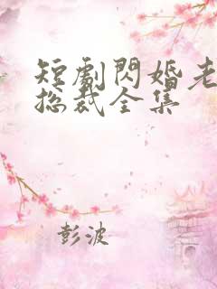 短剧闪婚老公是总裁全集